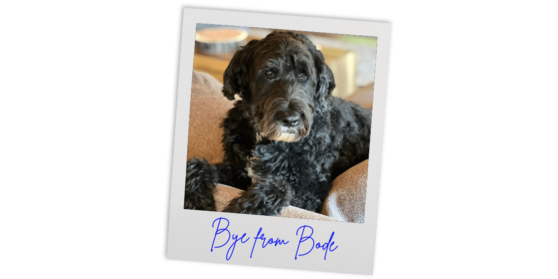 Bode (3)