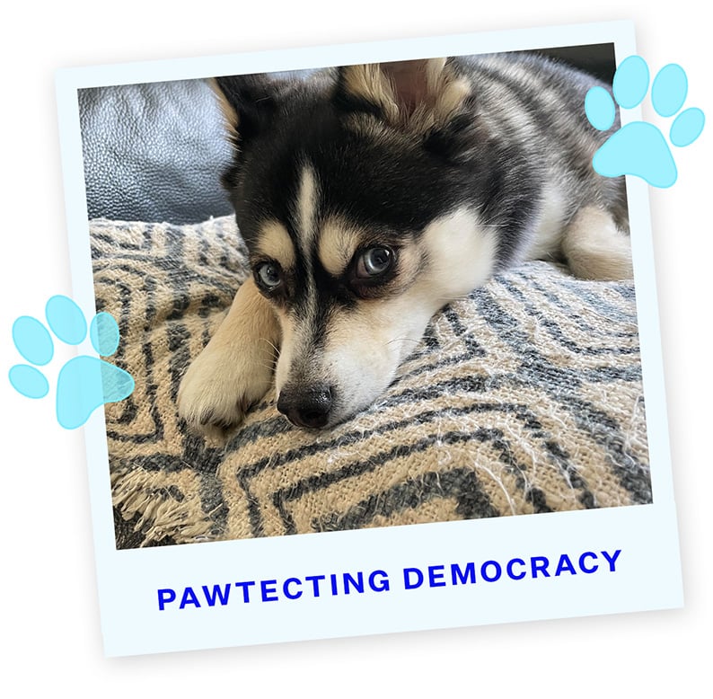 PD1-Unnamed (Jan Verbit)