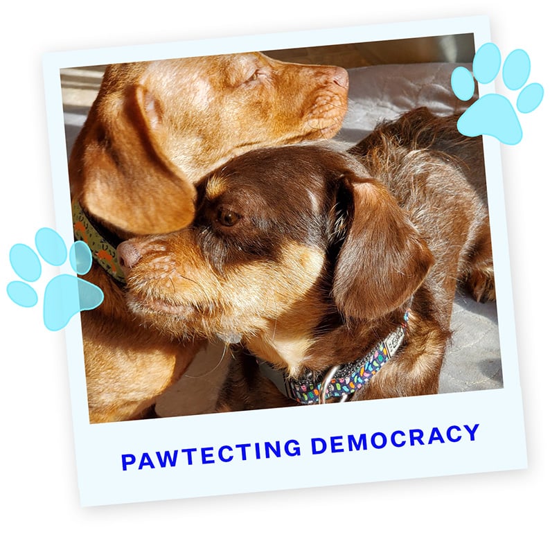 PD1-Unnamed-(DOREEN DALESANDRO)