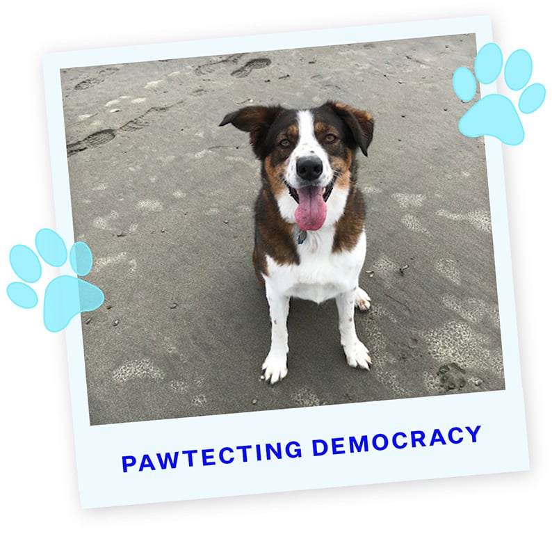 PD1-Unnamed-(Susan Cook)