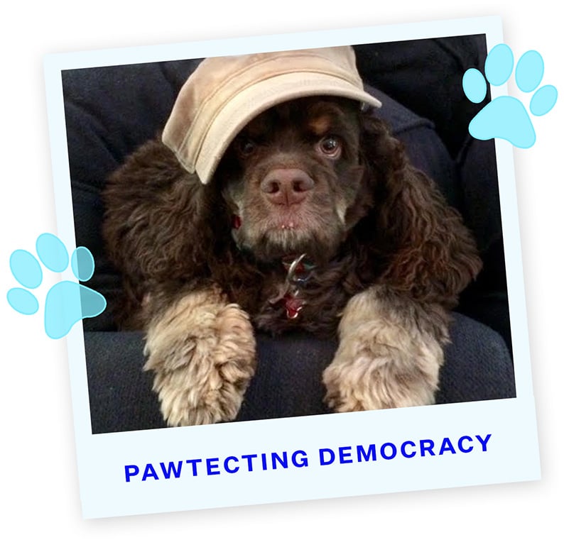 PAWTECTING DEMOCRACY 