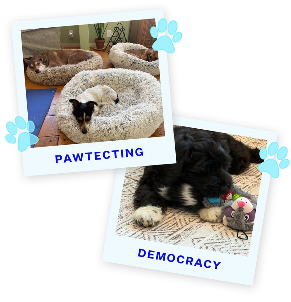 PD2-Blue&Pismo, Mojo and Charlie