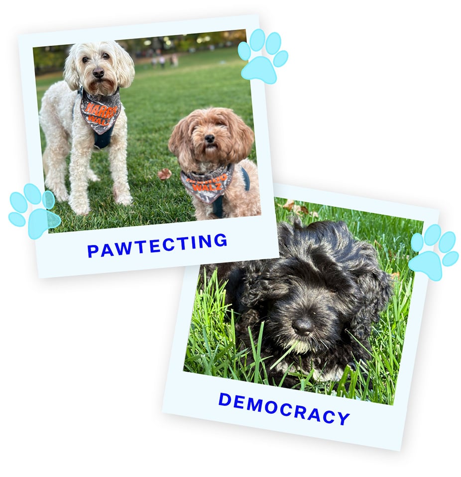 PD2-Blue&Rosie and Phoebe