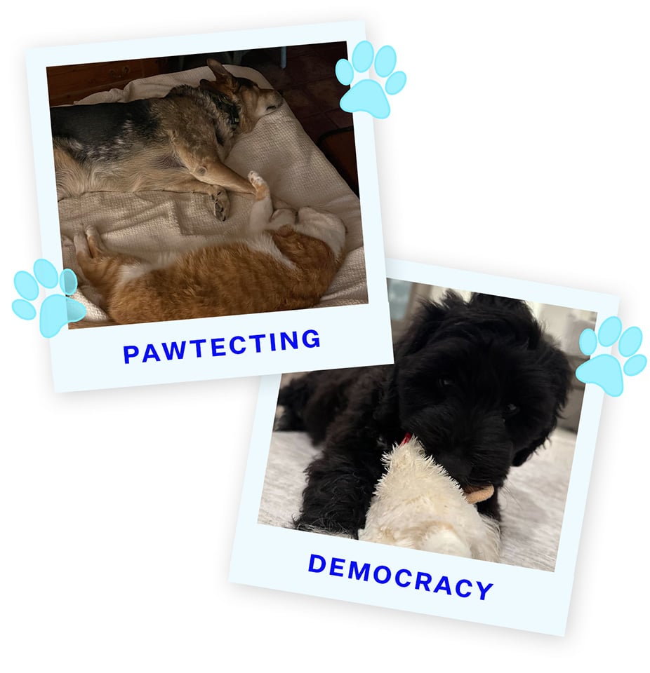 PD2-Blue-Bodie and Morris the kitty