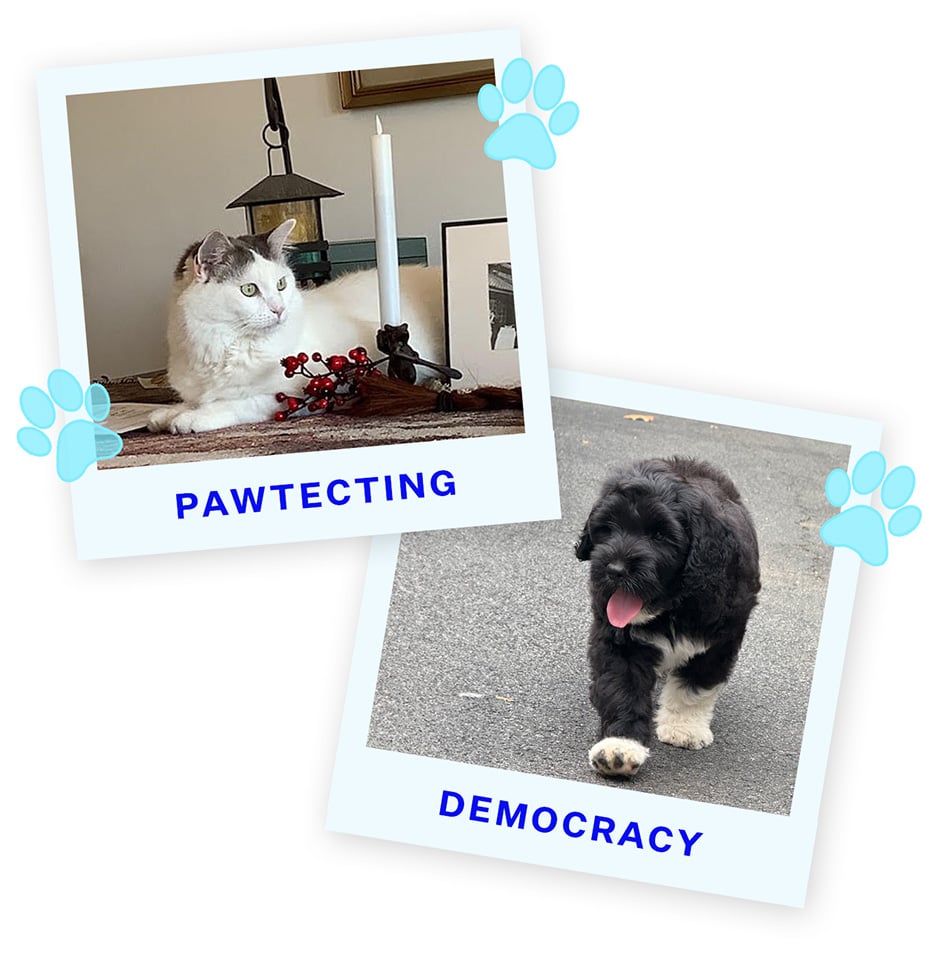 PD2-Fizzywiggles&Blue