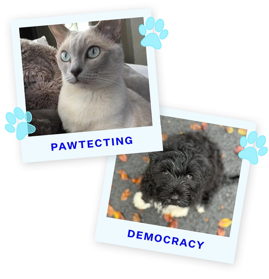 PD2-Luna&Blue
