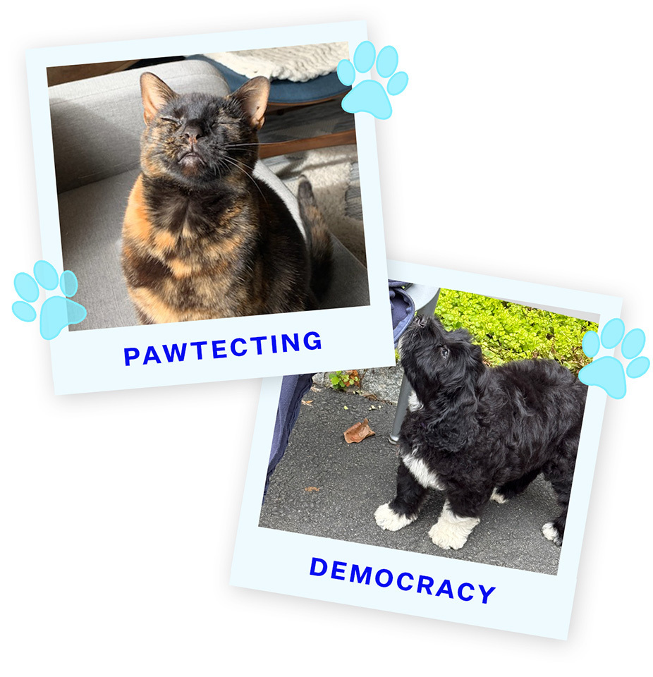 Pawtecting-KeeKee-Blue (1)